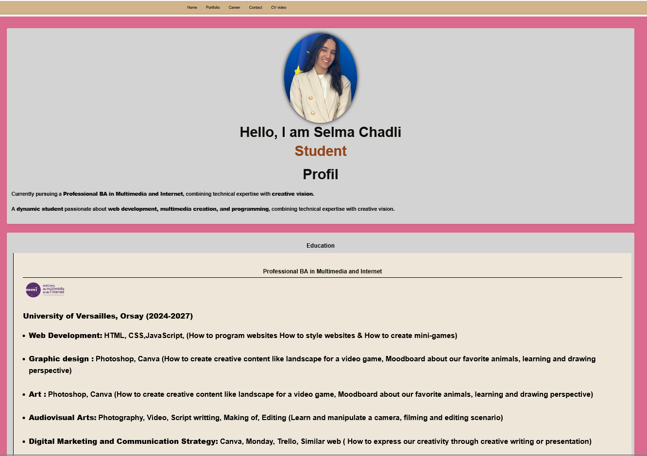 CV Anglais Professionnel - Aperçu