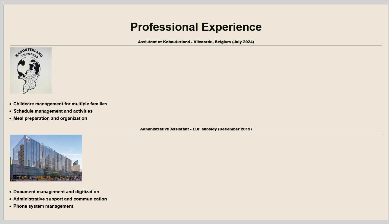 Section Expérience Professionnelle